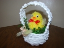 DSC00527.jpg