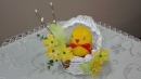 IMG_20180302_120743.jpg